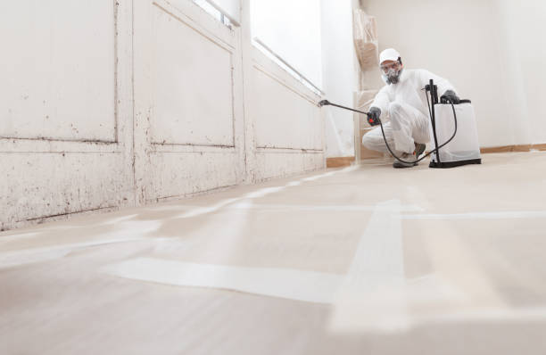 24/7 Emergency Black Mold Removal experts in Fairview, NC