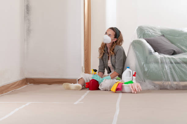 Trusted Black Mold Removal service in Fairview, NC - WQB Mold Removal